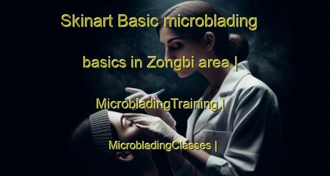 Skinart Basic microblading basics in Zongbi area | MicrobladingTraining | MicrobladingClasses | SkinartTraining-China